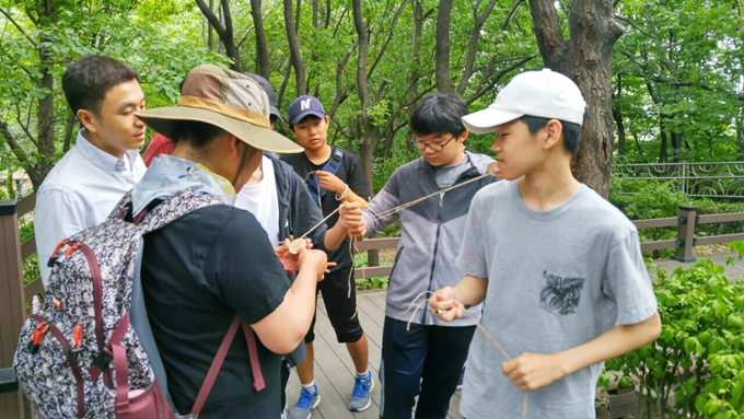 17-06-개운산-팽나무 번호달기.jpg